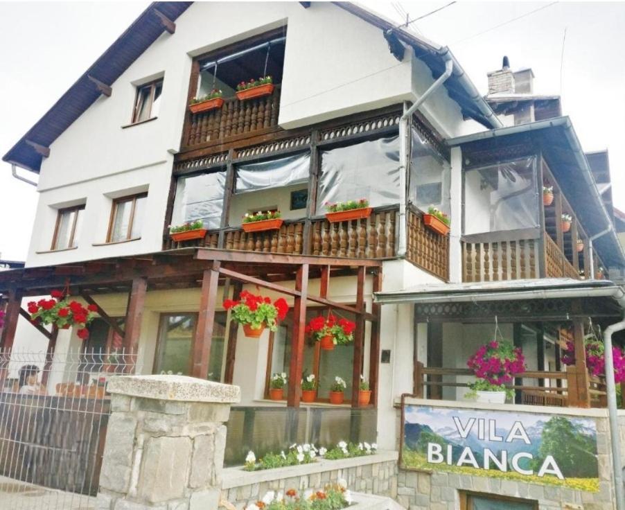 Vila Bianca Buşteni Εξωτερικό φωτογραφία